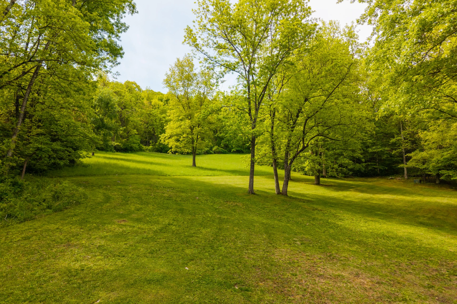 229 Woodside Ln - Photo 28
