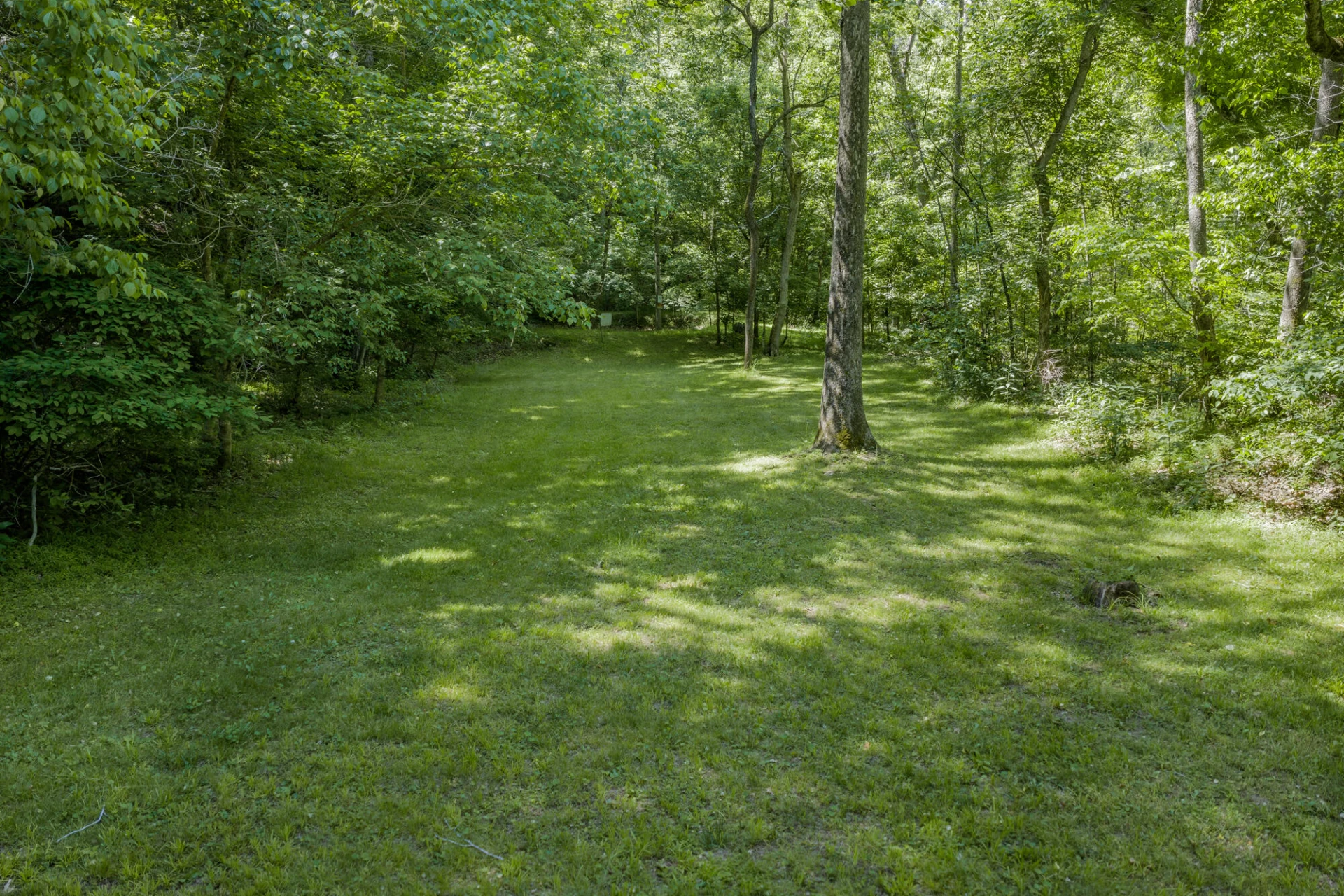 53 & 13 Siding Ln - Photo 46