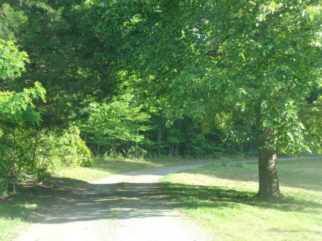497 The Pines Ln - Photo 24