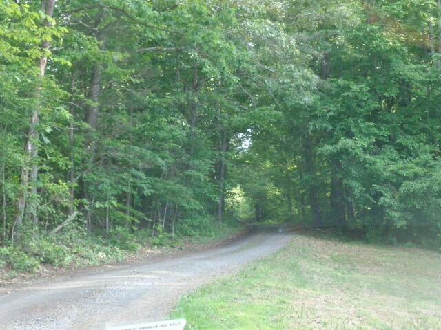 497 The Pines Ln - Photo 25