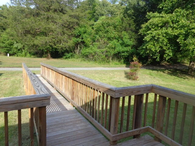 497 The Pines Ln - Photo 6