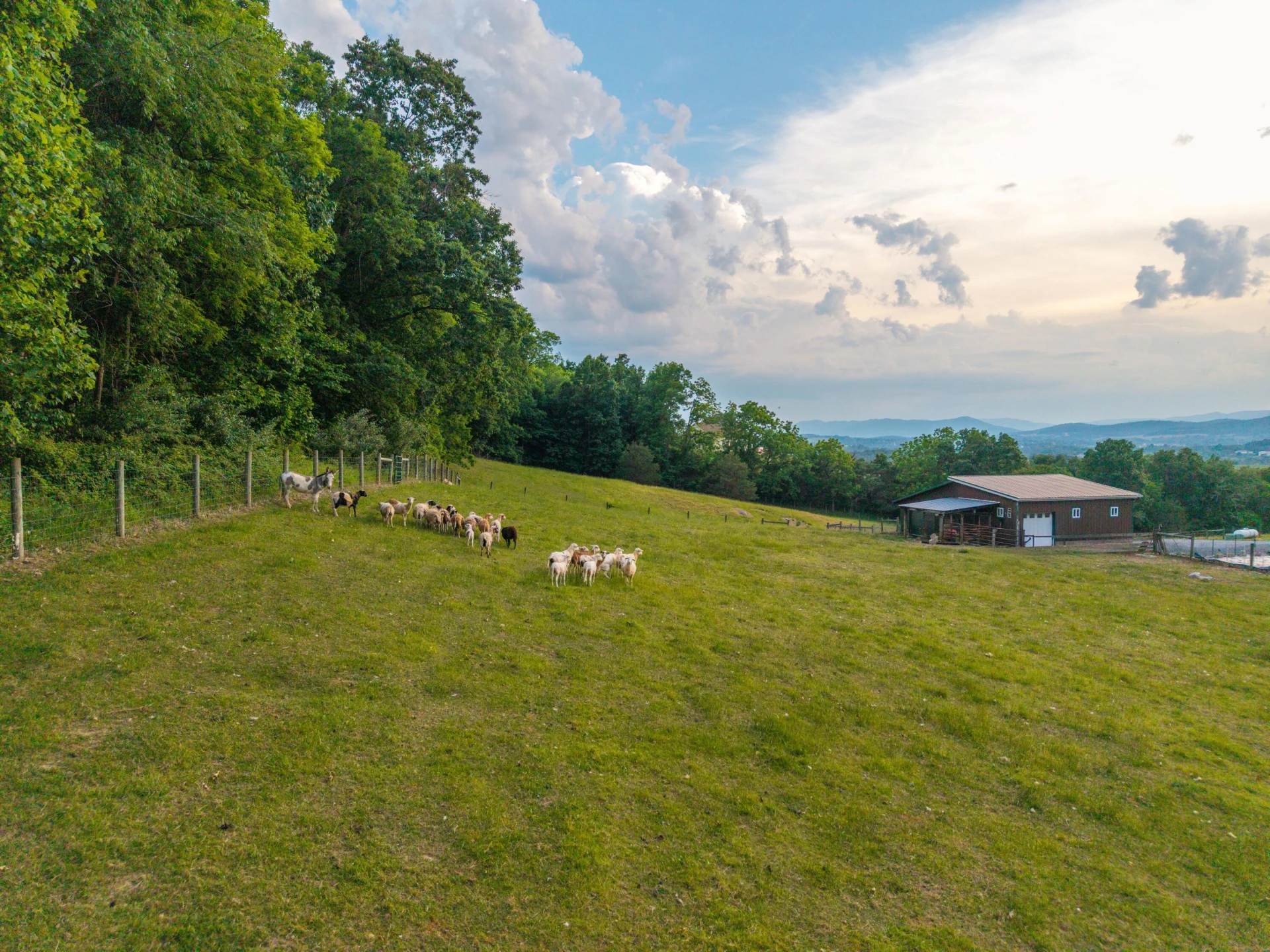 608 MOUNTAIN VIEW Rd - Photo 29