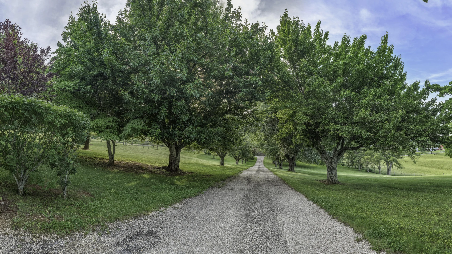 1274 Maury River Rd - Photo 11