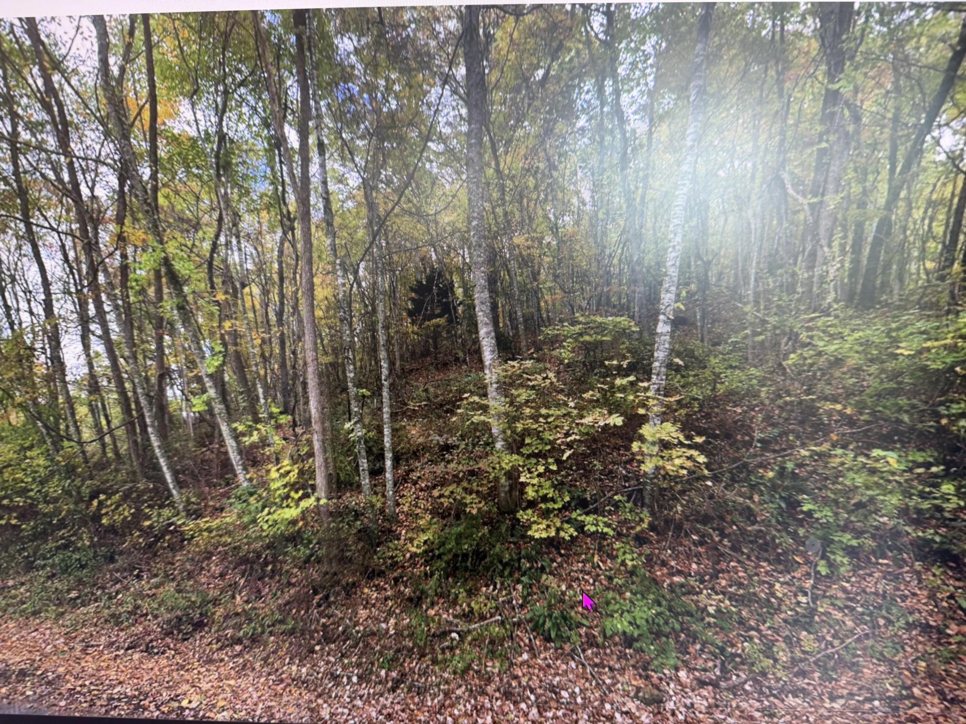 XX Tinkertown Rd - Photo 3