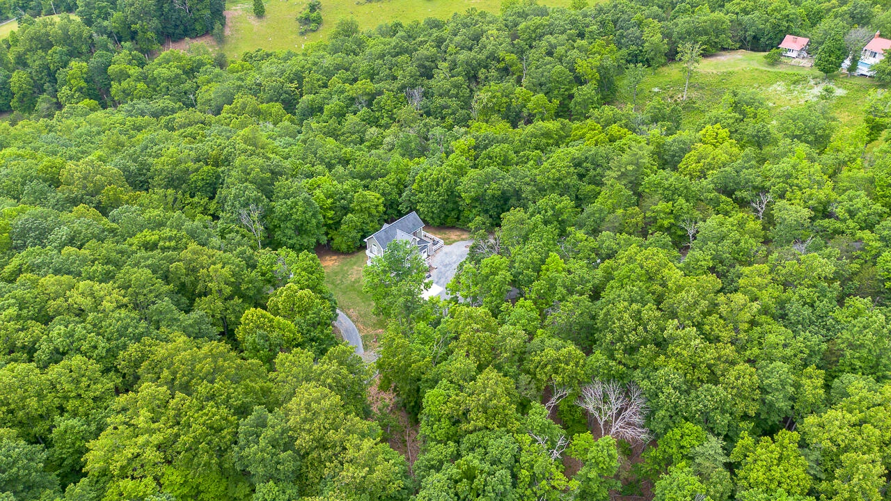 171 Little House Ln - Photo 41