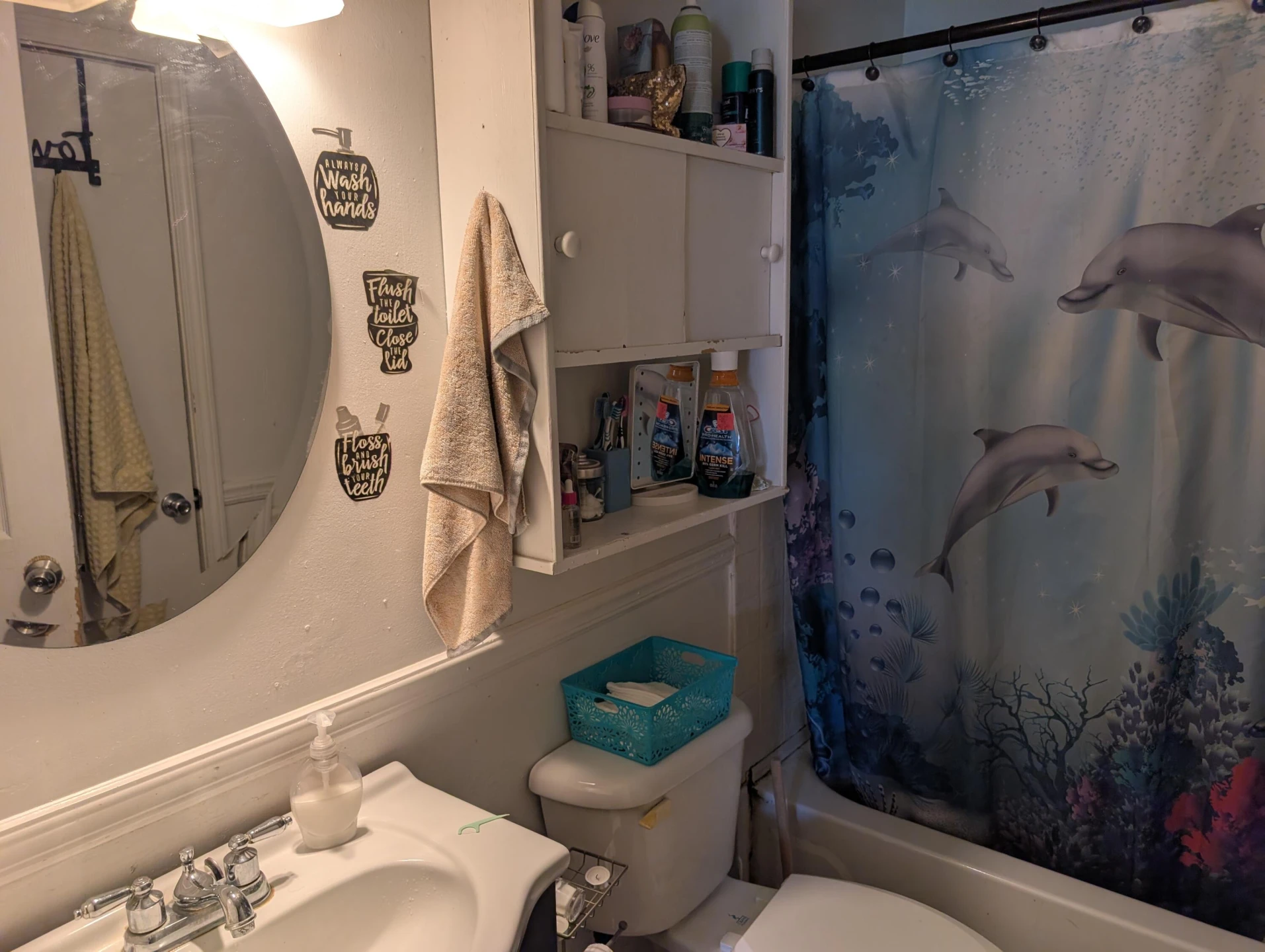 716 McCulloch St - Photo 2