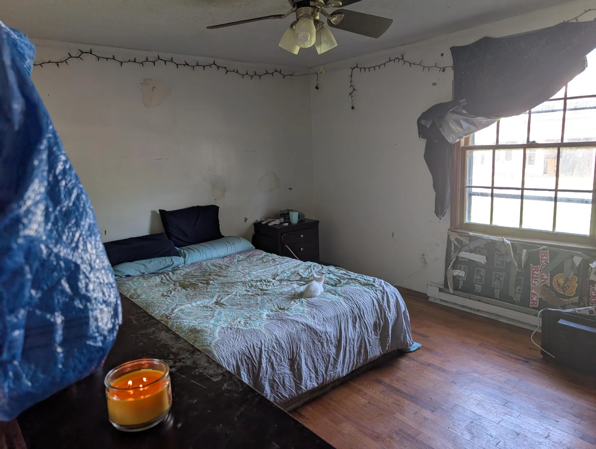 716 McCulloch St - Photo 4