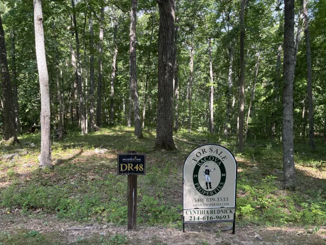 DR #48 Delafield Rd E, Hot Springs, VA, 24445