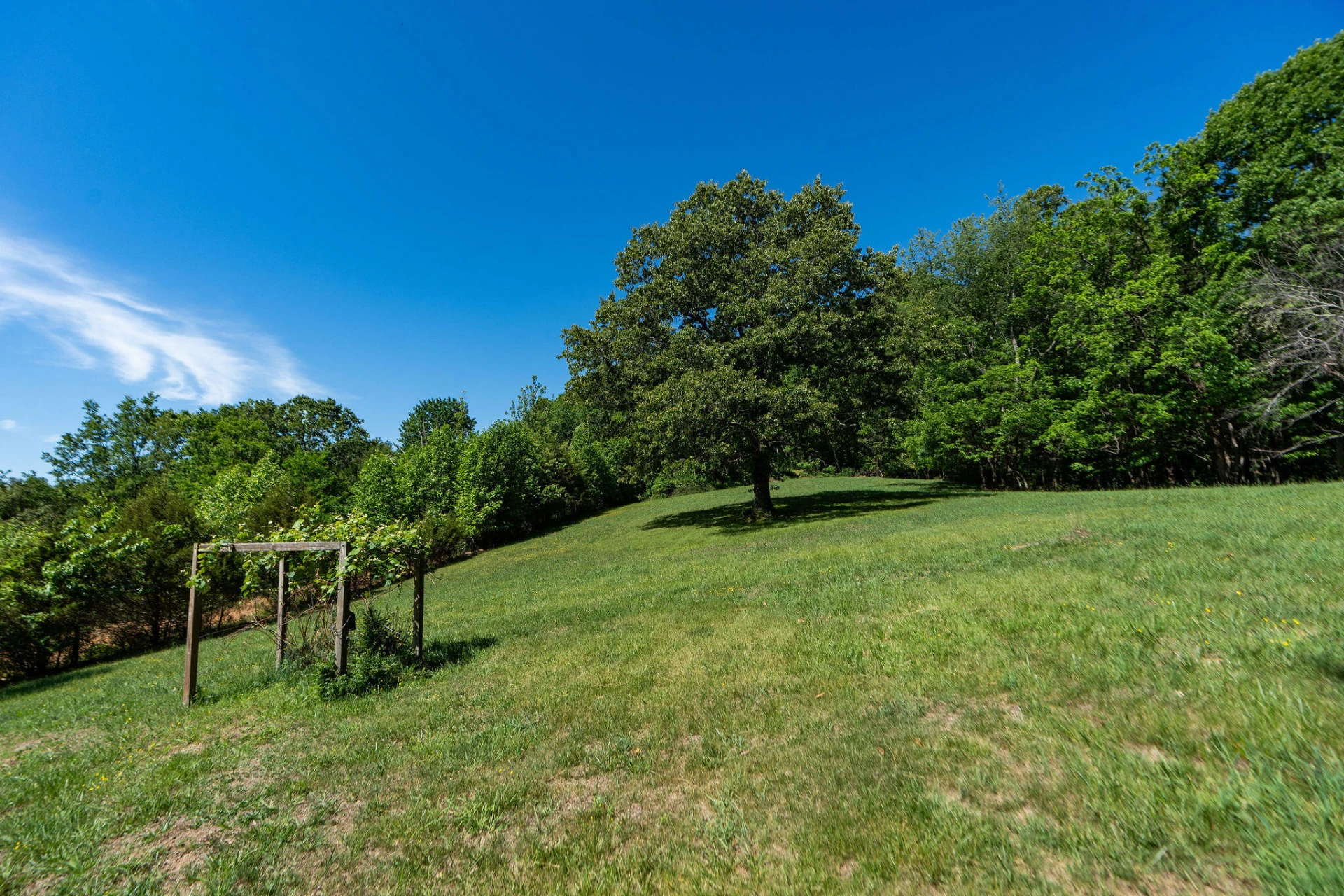 875 Campbells Hollow Rd - Photo 37