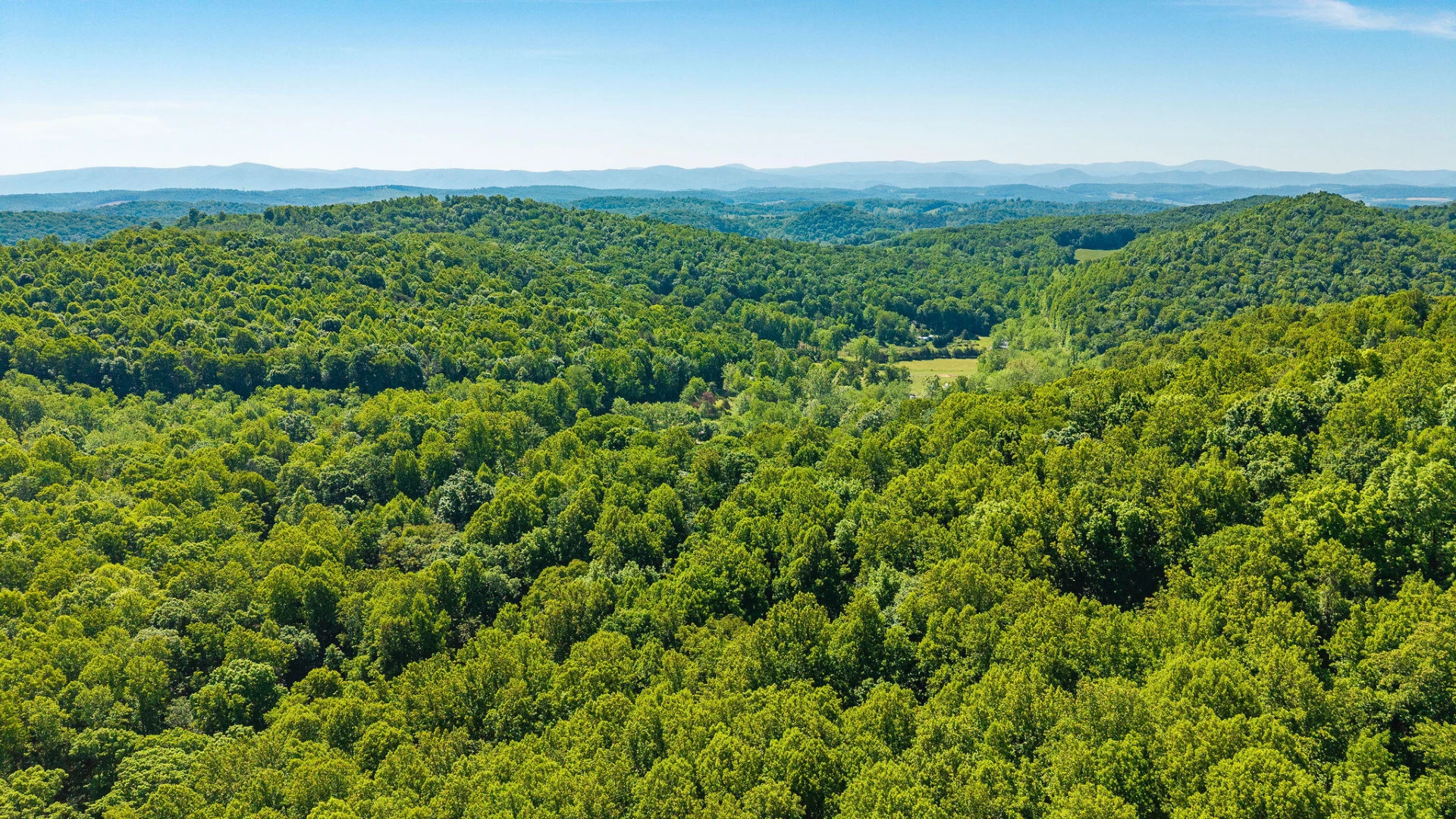 875 Campbells Hollow Rd - Photo 56
