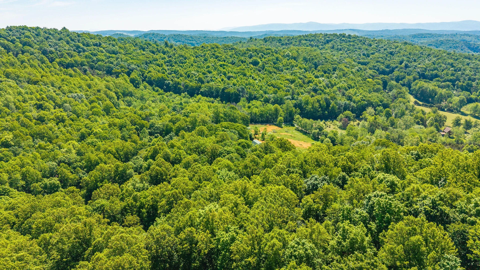 875 Campbells Hollow Rd - Photo 57