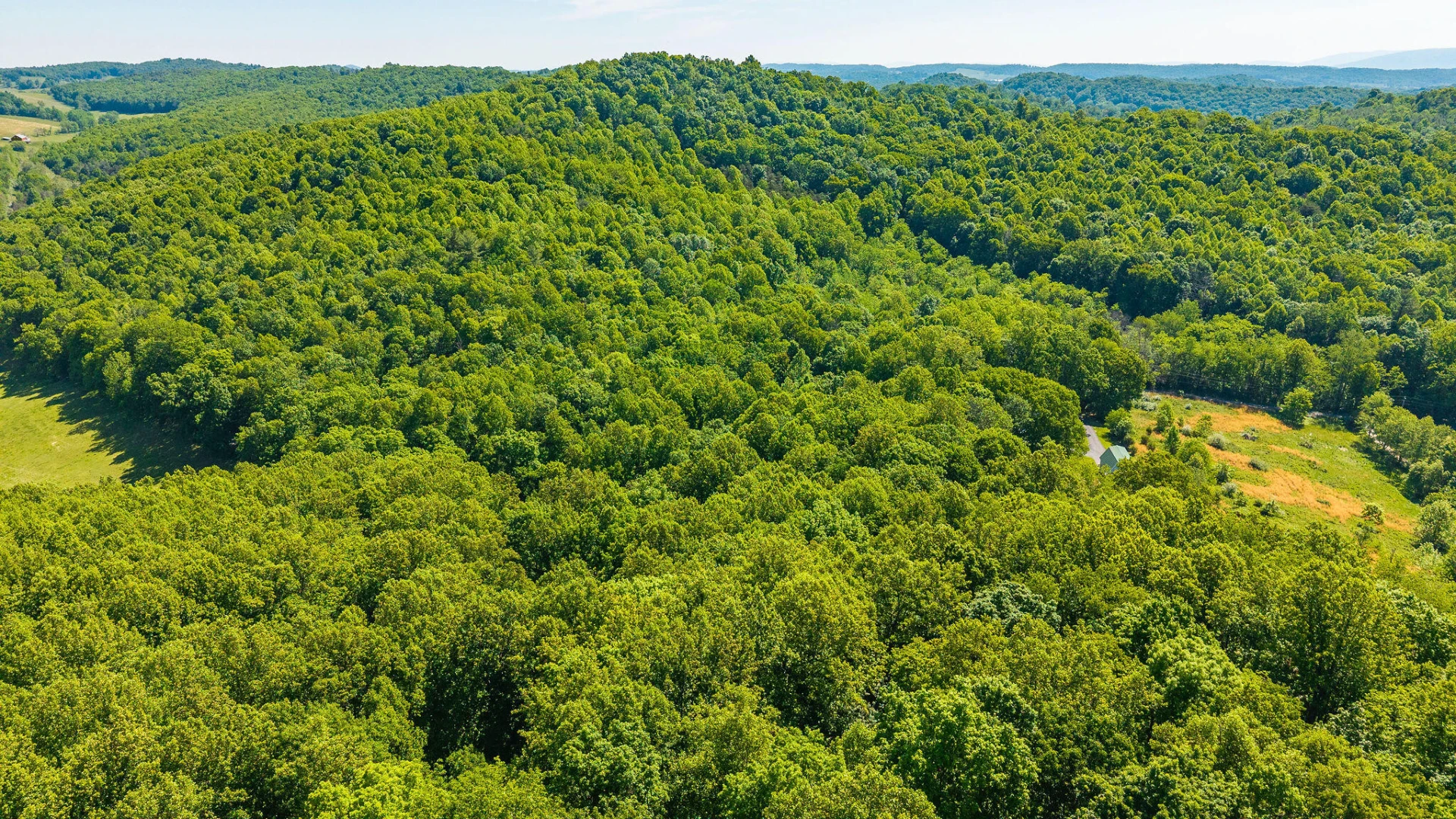 875 Campbells Hollow Rd - Photo 58