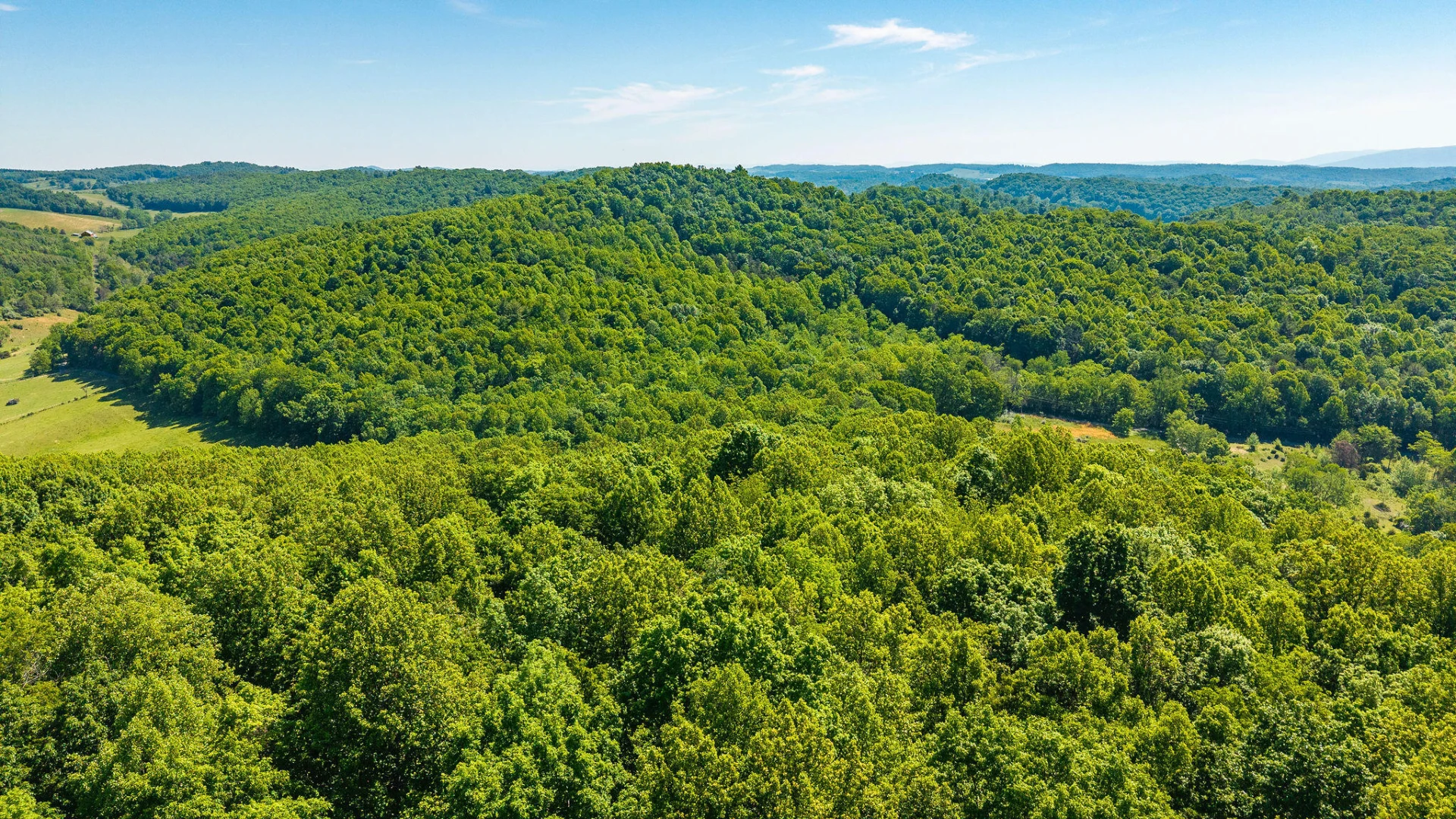 875 Campbells Hollow Rd - Photo 59