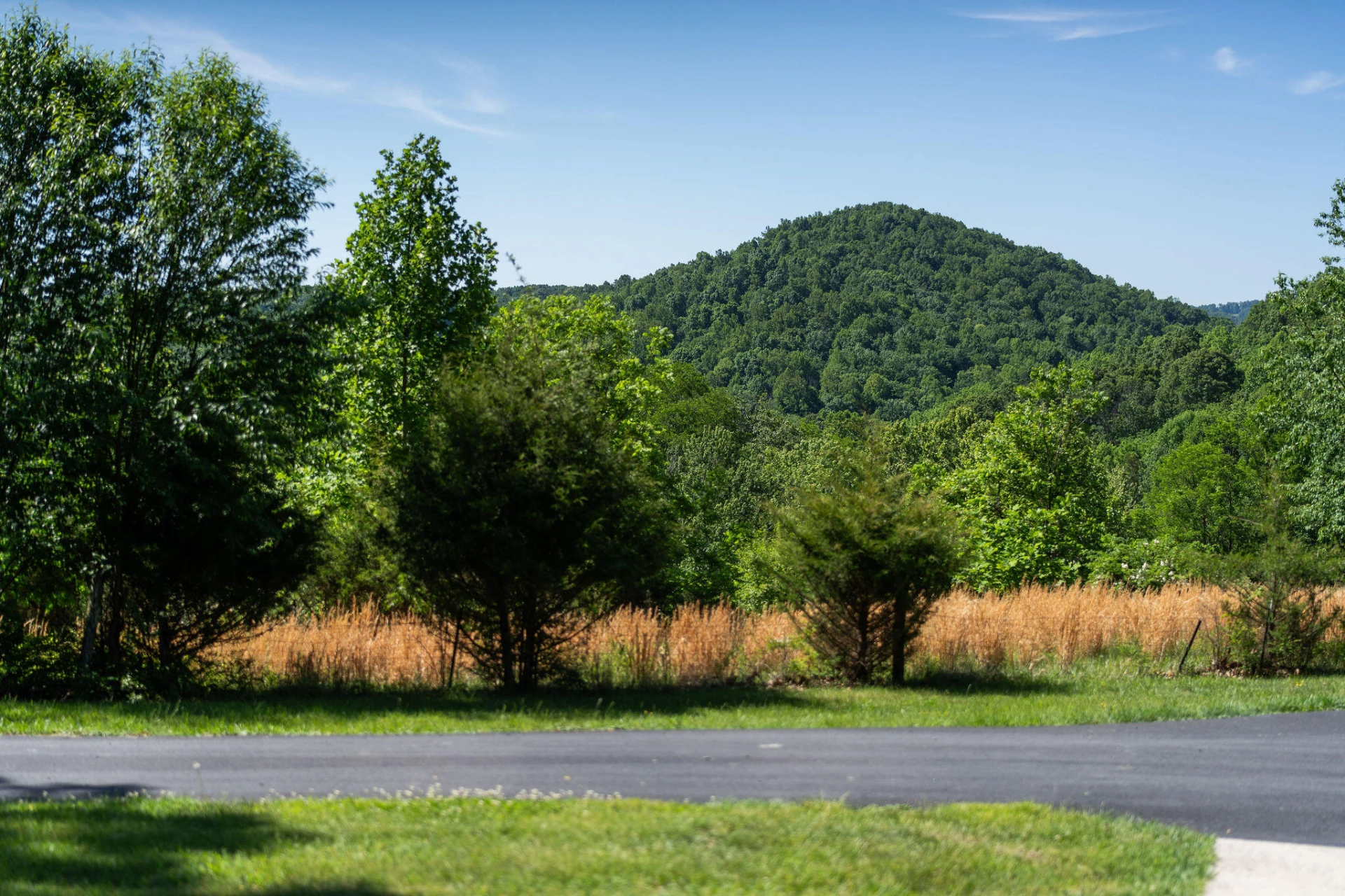 875 Campbells Hollow Rd - Photo 72