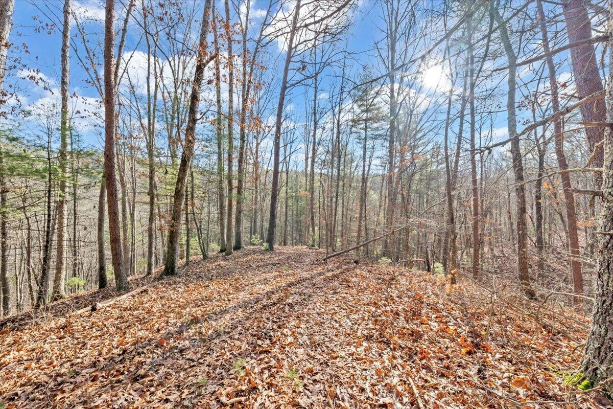 0 Overlook Way - Photo 14