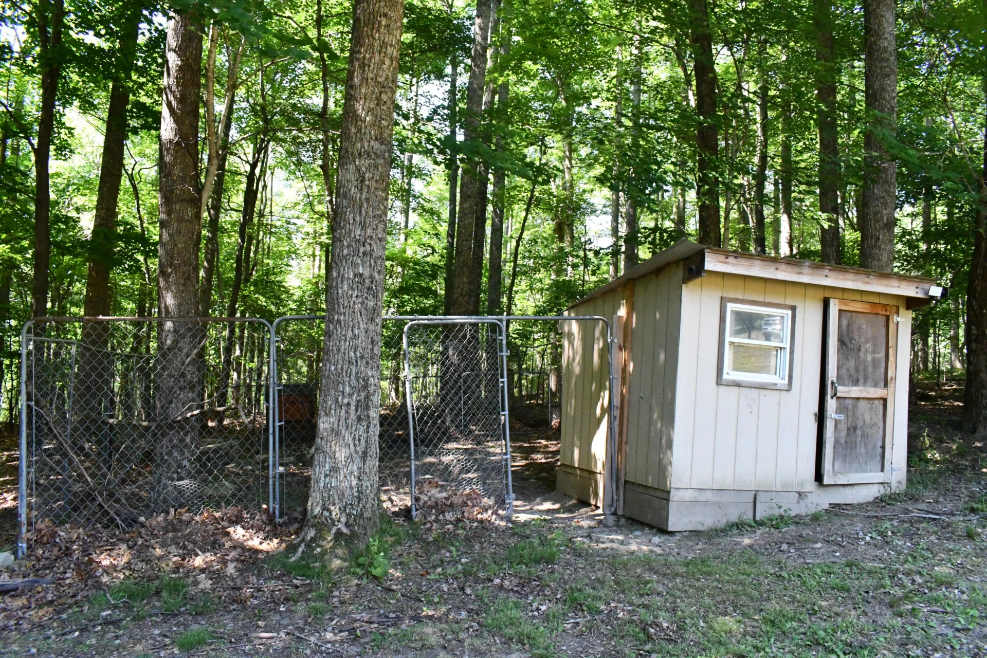 830 Honey Hollow Road - Photo 13
