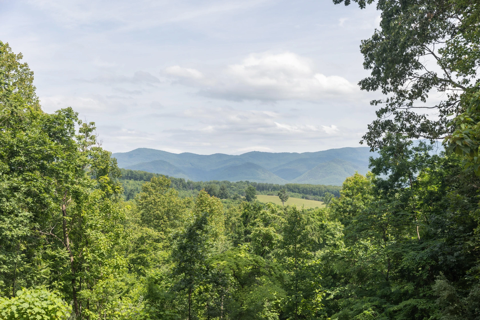 280 Dogwood Rise - Photo 10