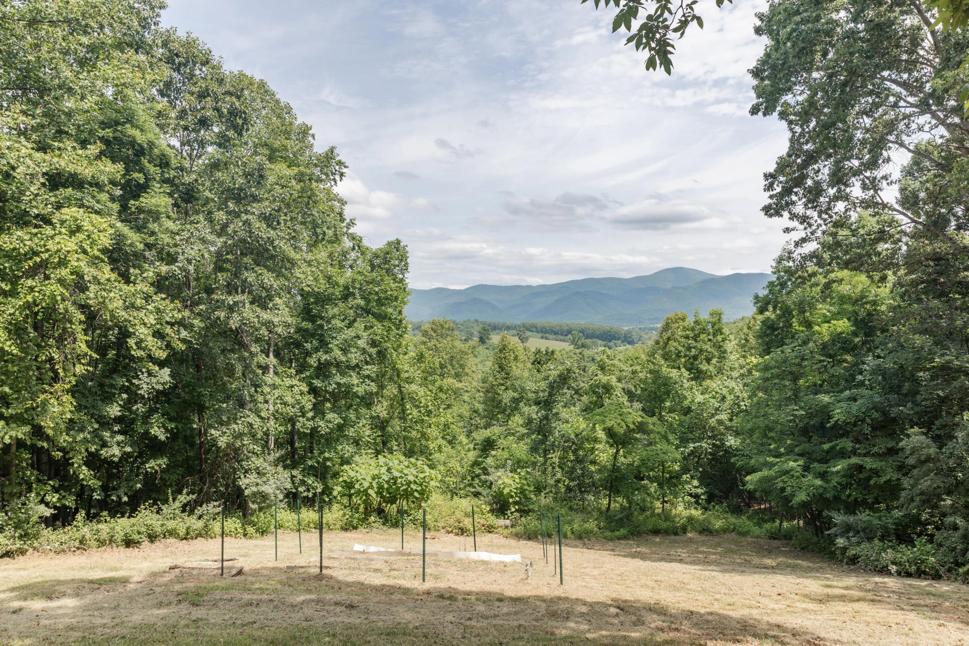 280 Dogwood Rise - Photo 58