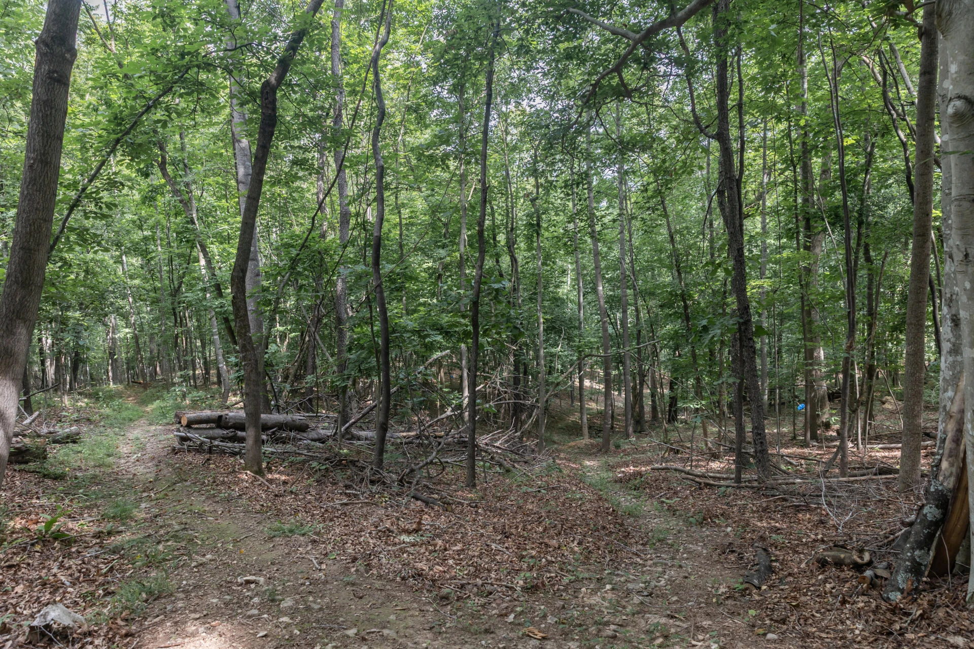 280 Dogwood Rise - Photo 63