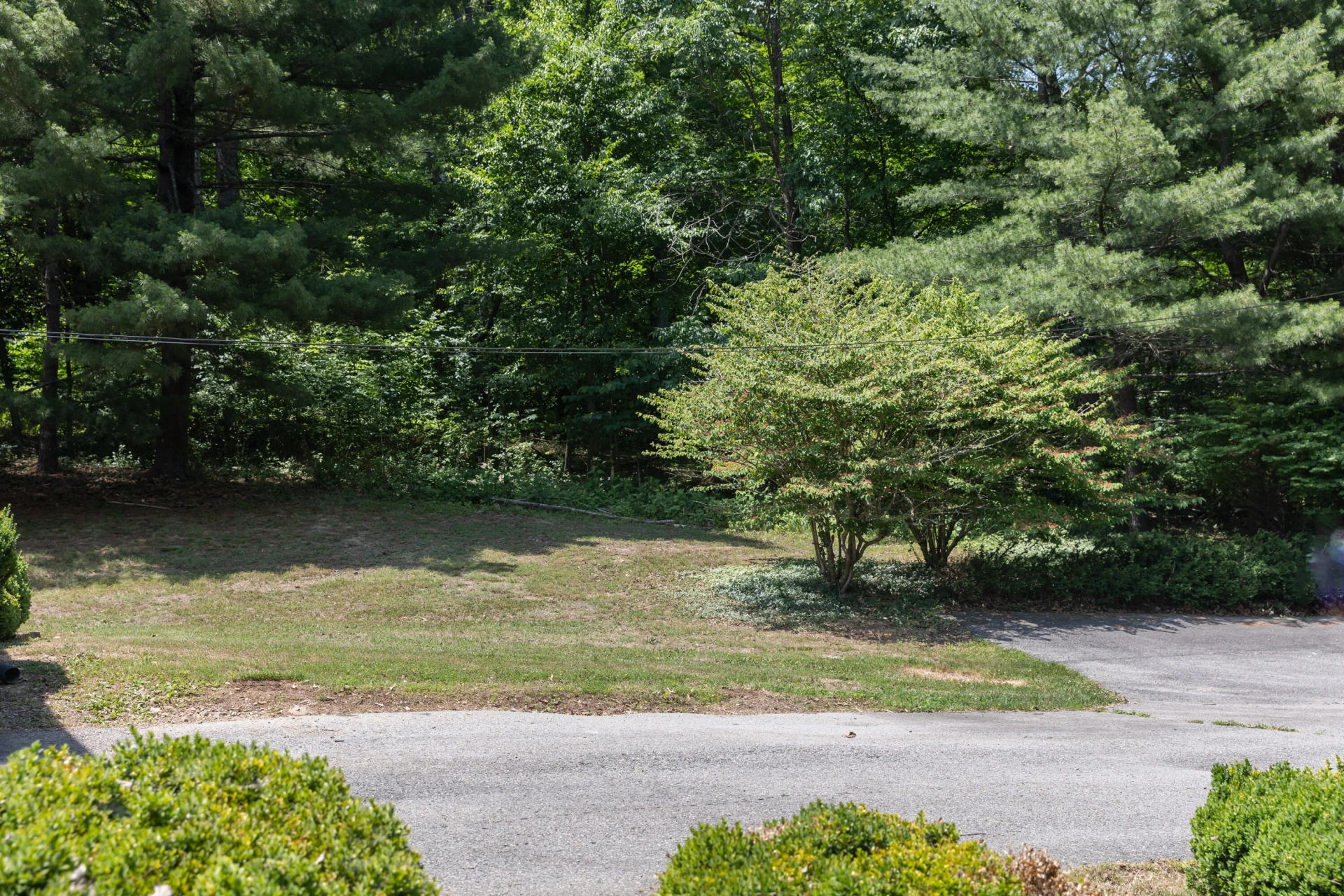 1333 Smiley Ln - Photo 41