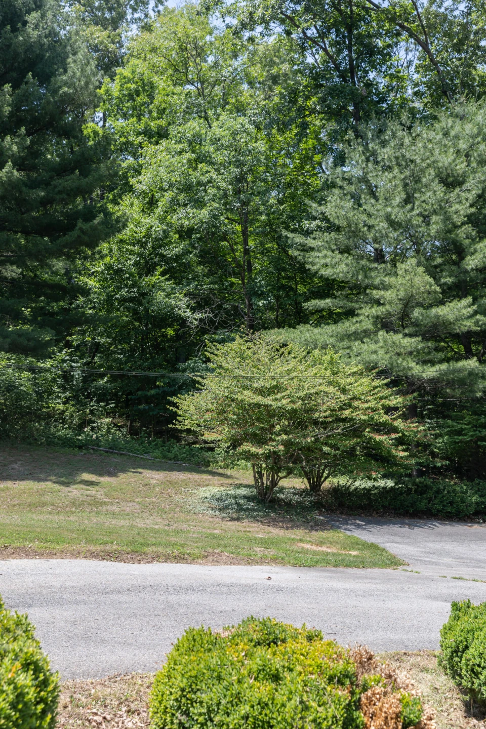 1333 Smiley Ln - Photo 42