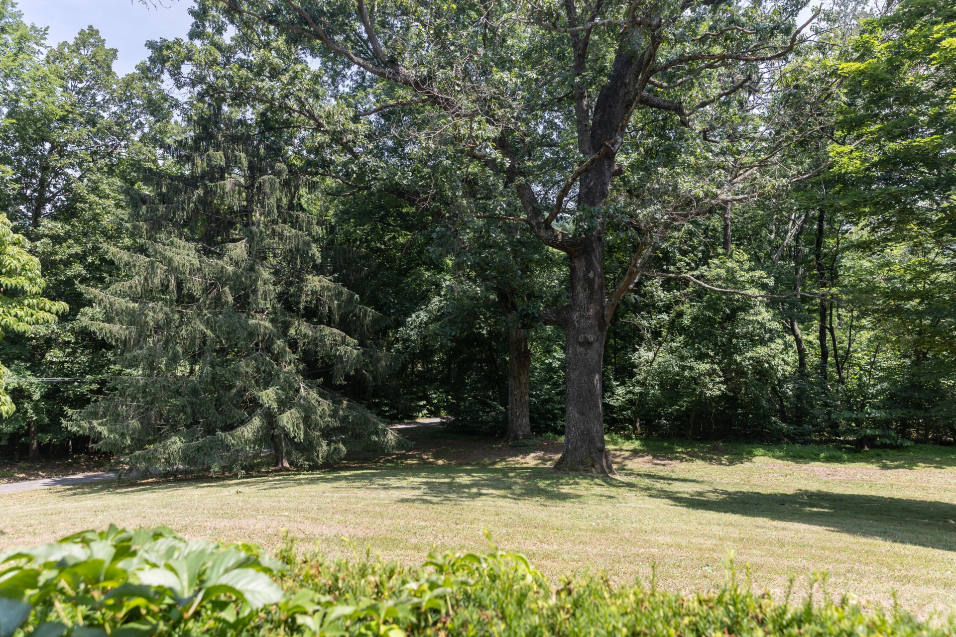 1333 Smiley Ln - Photo 43