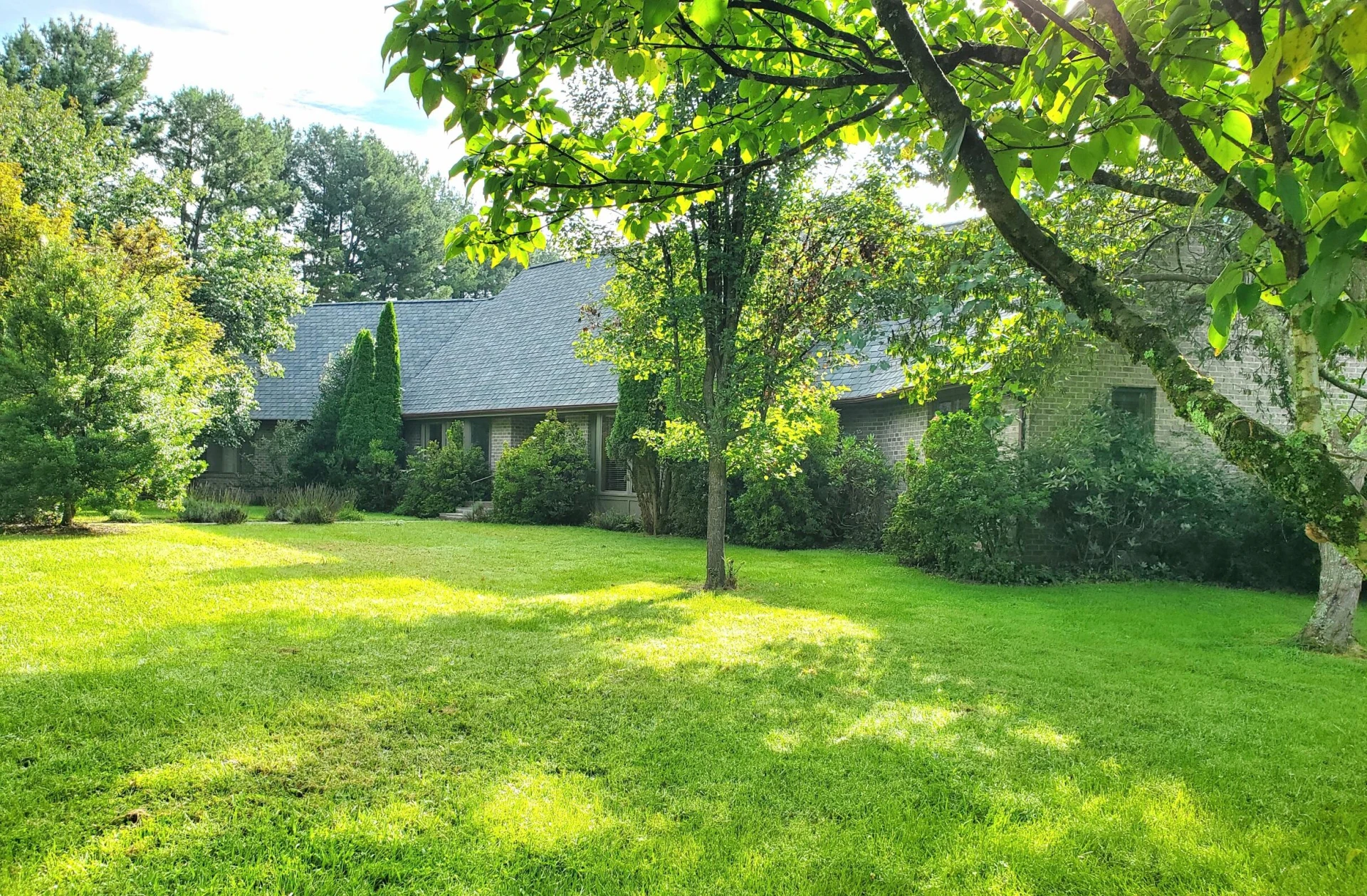 150 Forest Hill View - Photo 3