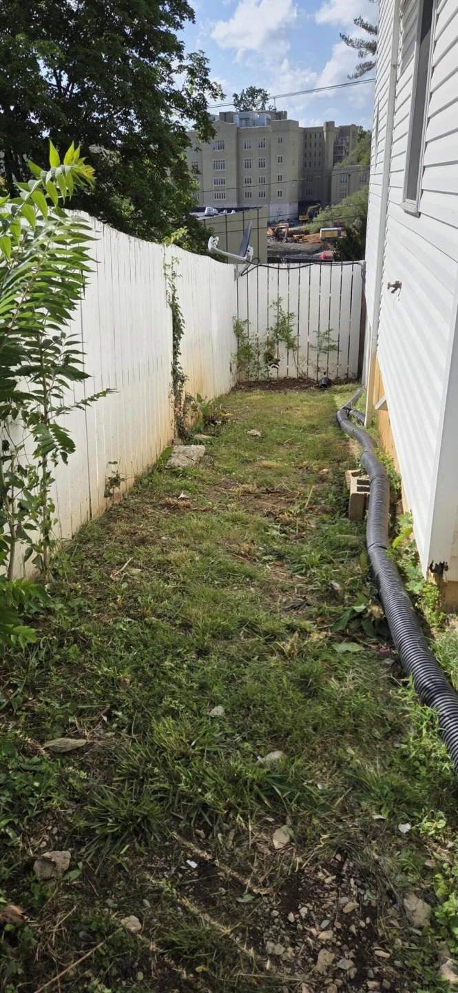 415 N RANDOLPH St - Photo 5