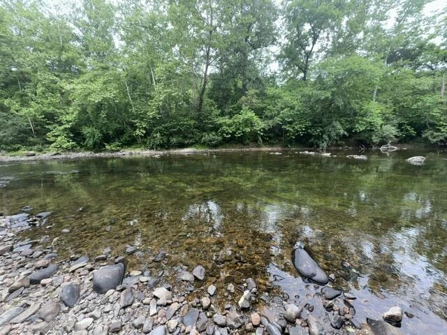 815 Maury River Rd - Photo 10