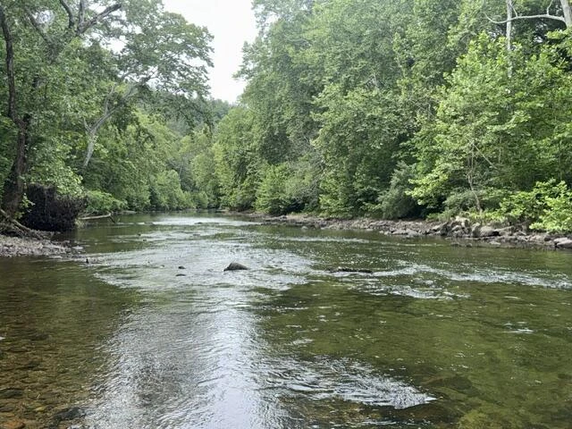 815 Maury River Rd - Photo 11