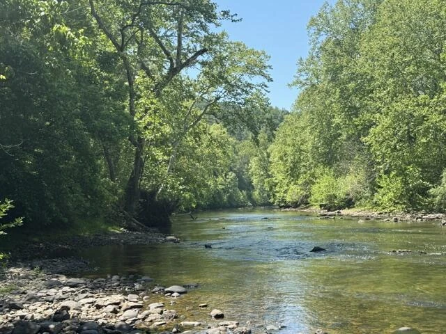 815 Maury River Rd - Photo 2