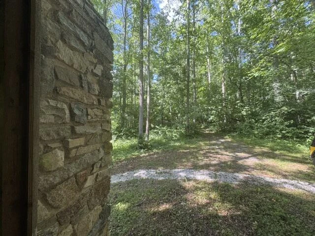 815 Maury River Rd - Photo 35