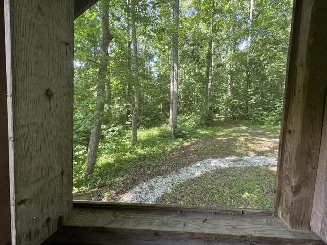 815 Maury River Rd - Photo 36