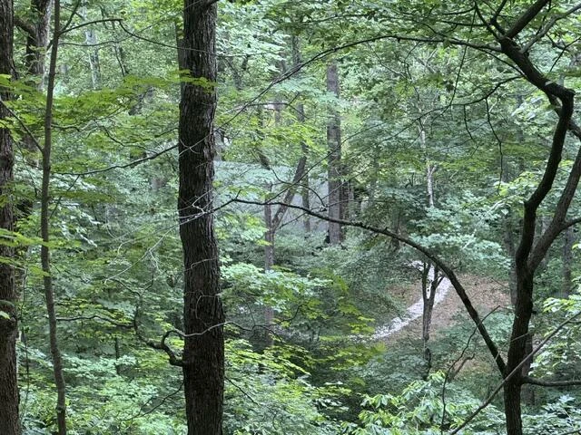 815 Maury River Rd - Photo 37