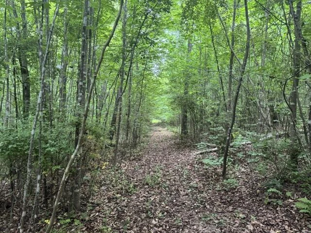815 Maury River Rd - Photo 38