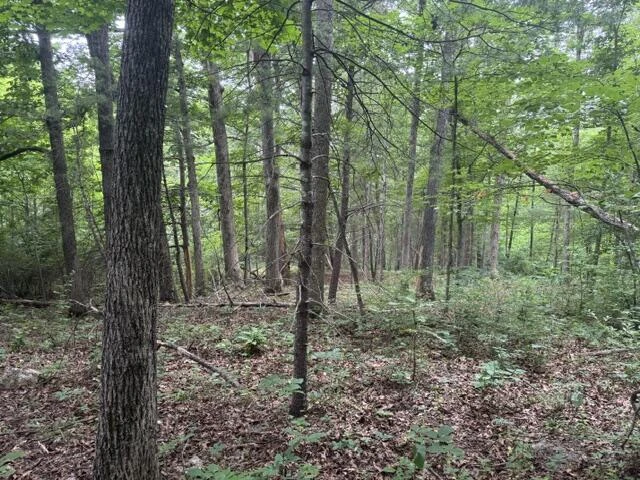 815 Maury River Rd - Photo 39