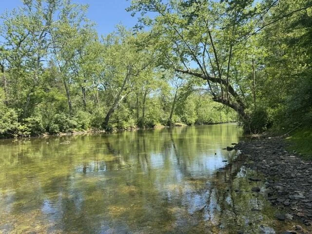 815 Maury River Rd - Photo 4