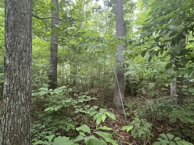 815 Maury River Rd - Photo 40