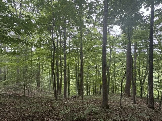 815 Maury River Rd - Photo 42