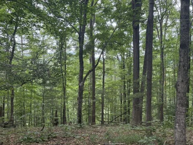 815 Maury River Rd - Photo 43