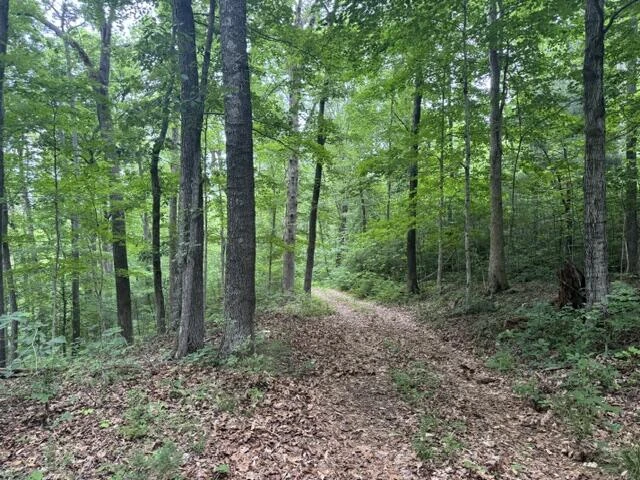 815 Maury River Rd - Photo 45