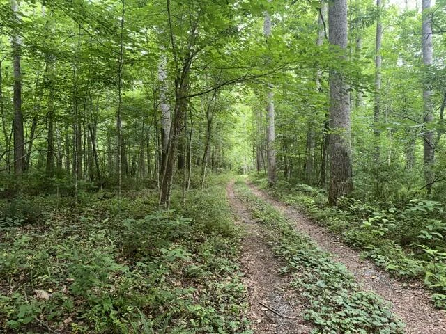 815 Maury River Rd - Photo 46