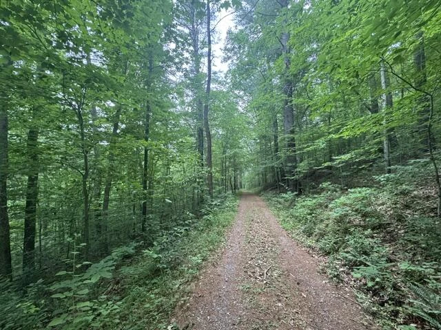 815 Maury River Rd - Photo 47
