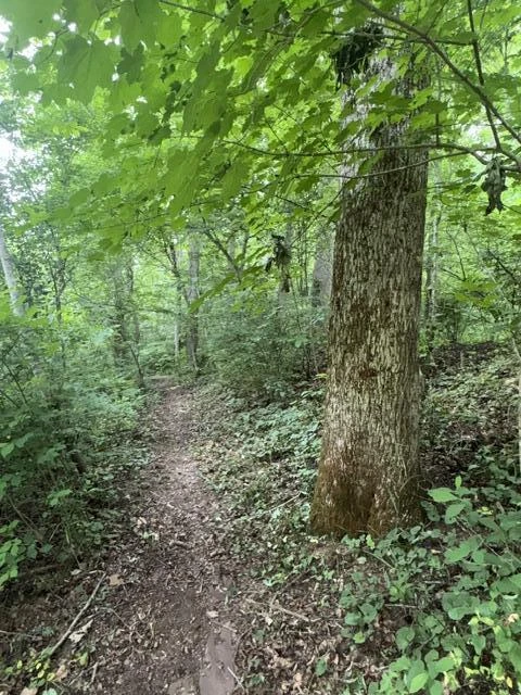 815 Maury River Rd - Photo 48