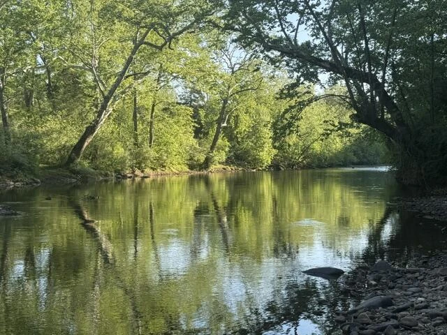 815 Maury River Rd - Photo 5