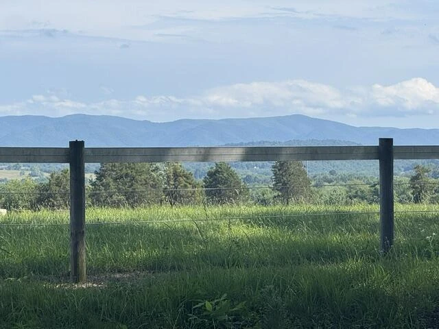 815 Maury River Rd - Photo 51