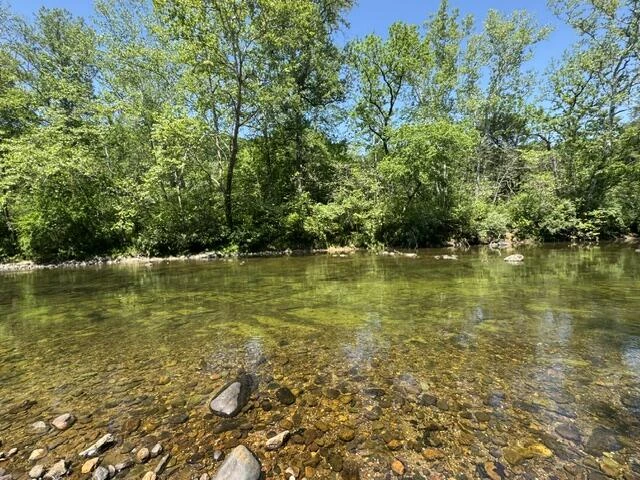 815 Maury River Rd - Photo 6