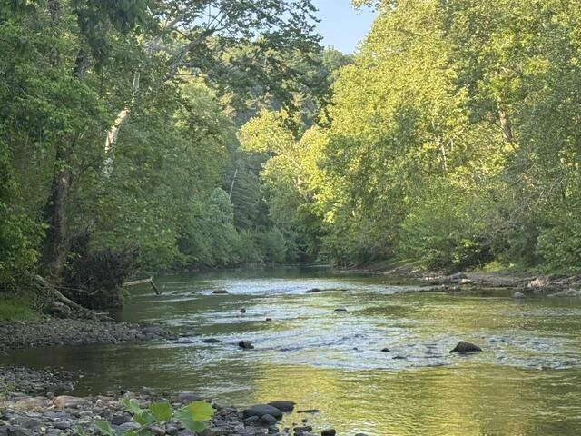 815 Maury River Rd - Photo 8