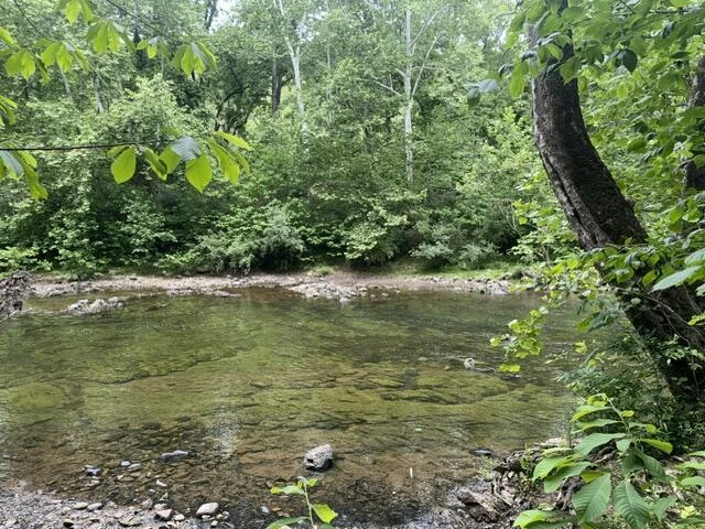 815 Maury River Rd - Photo 9