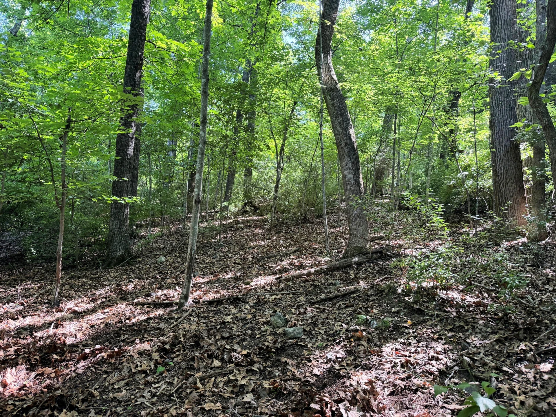 TBD Shepherd Dr - Photo 6